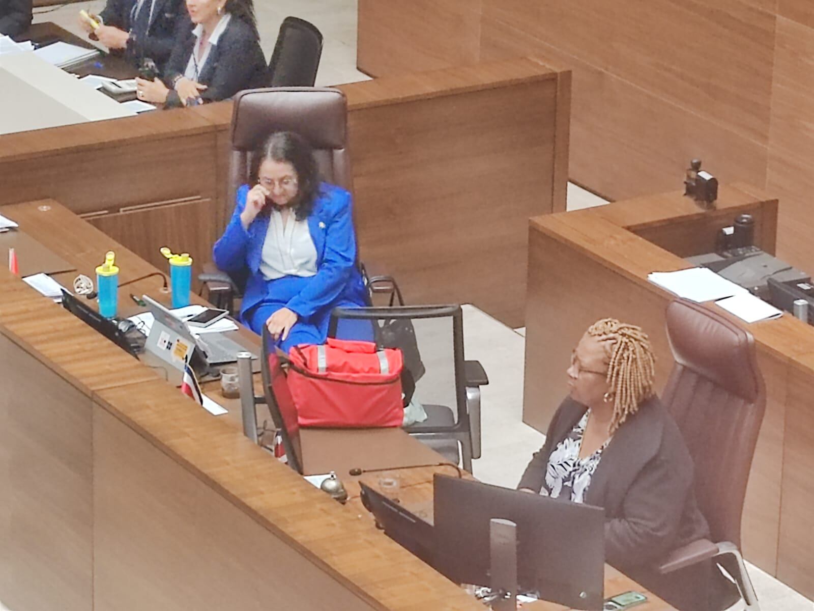 diputada Luz Mary Alpízar