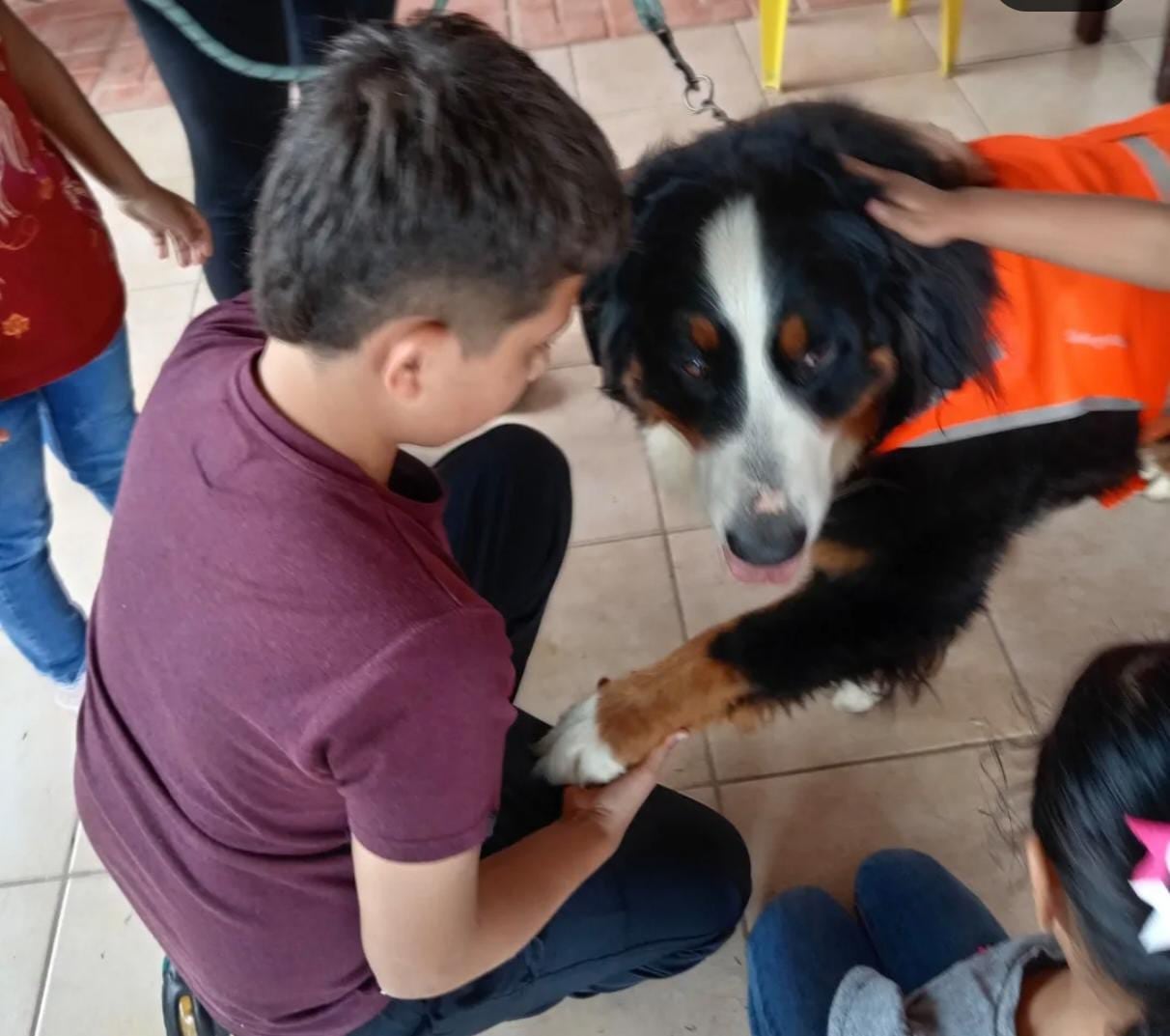 Berna, de raza Boyero de Montaña Bernés, es pionera de un escuadrón de perros que visita hospitales, pacientes con cáncer y hogares de adultos mayores para llevar compañía y cariño.