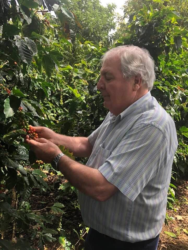 Juan Luis Hernández Fuertes cogiendo café