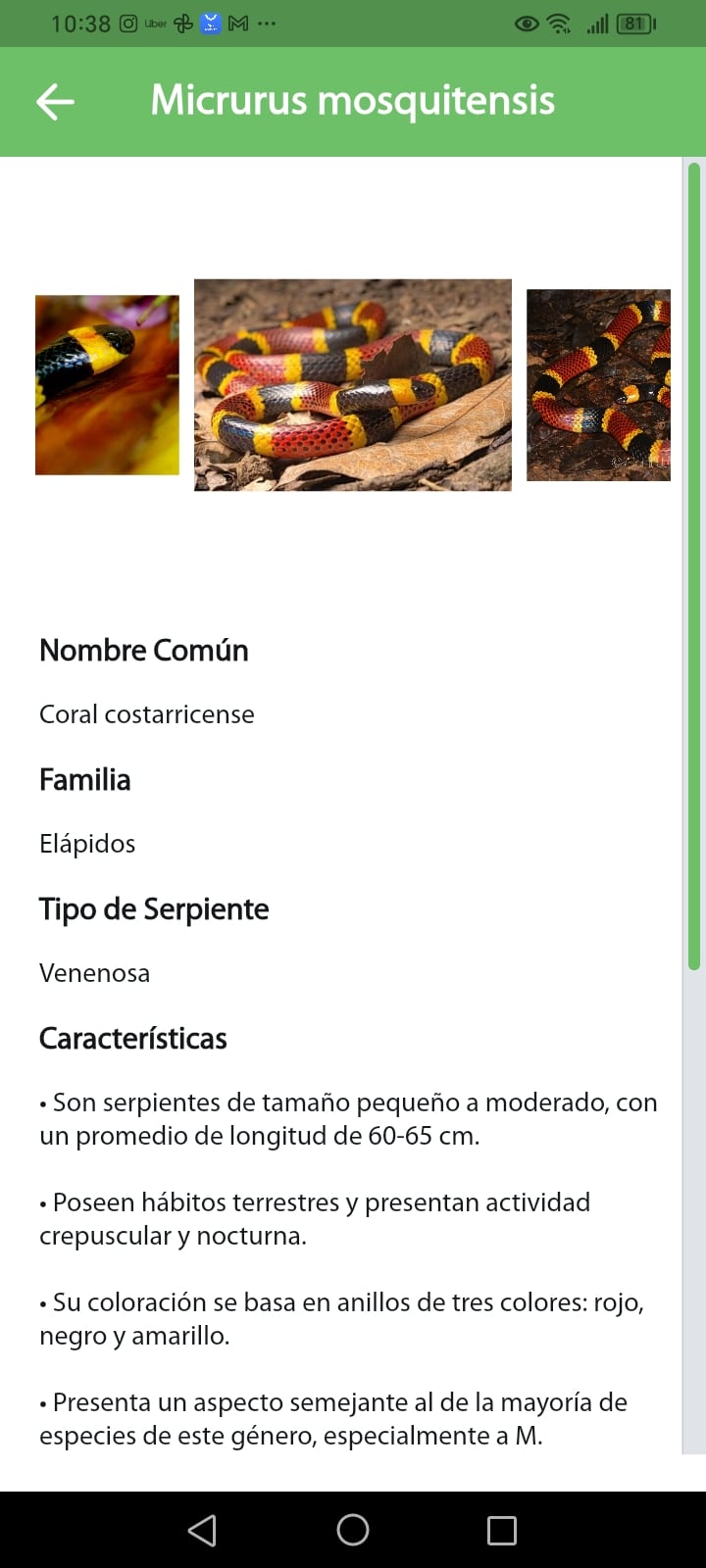 El Instituto Clodomiro Picado (ICP), de la Universidad de Costa Rica (UCR), además de elaborar los antivenenos que salvan vidas, hoy también destaca por darle al país un aporte digital inédito capaz de prevenir fallecimientos.
Se trata de la primera aplicación móvil gratuita llamada ICP App, que desde hoy le facilita a las y los costarricenses identificar las 25 serpientes venenosas que existen a nivel nacional y qué hacer en caso de una mordedura.