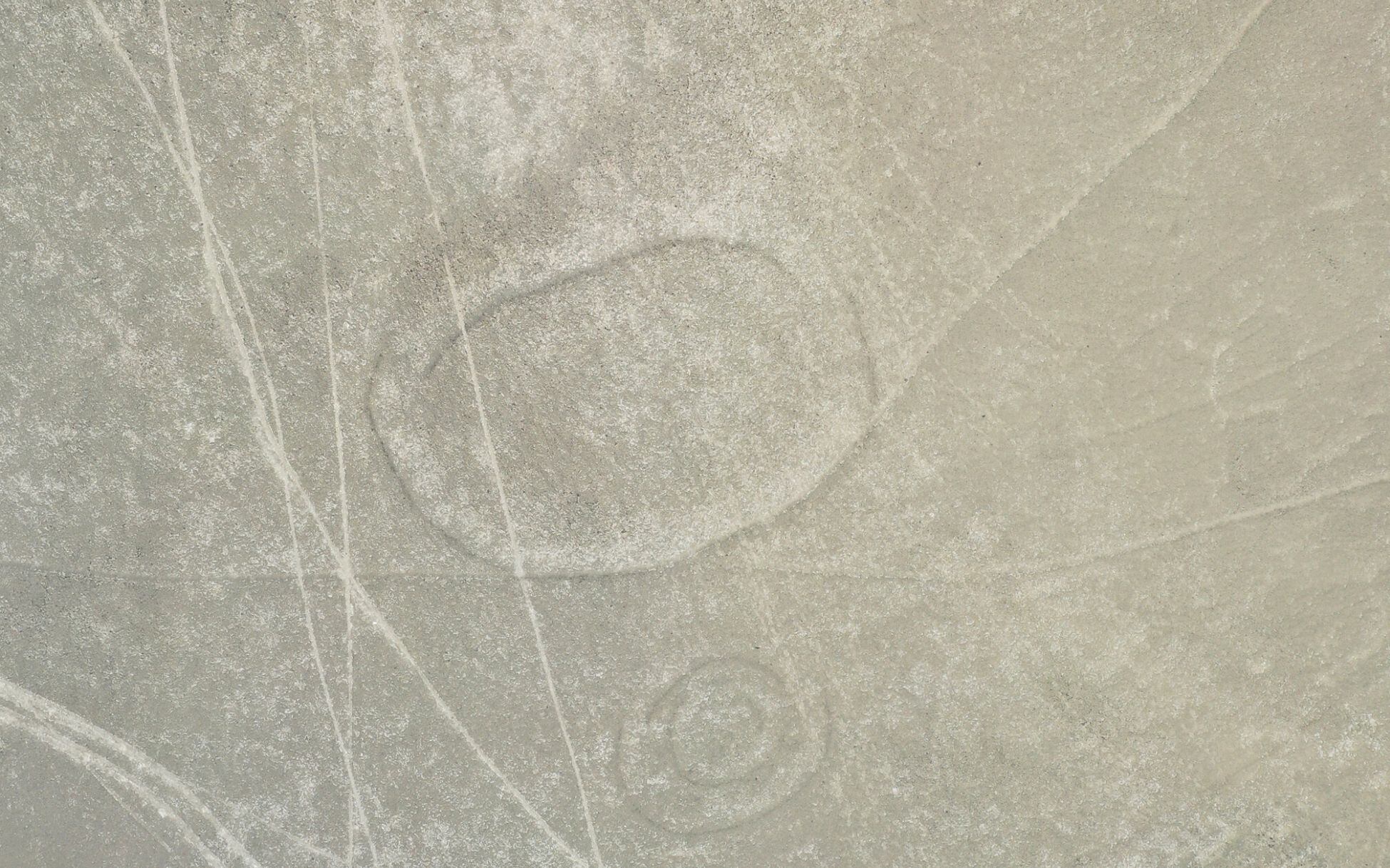 Algunas de las impresionantes imágenes resultaron menos dañadas, pero igual se puede ver el paso de las llantas. Foto: Luis Pérez Reyes.