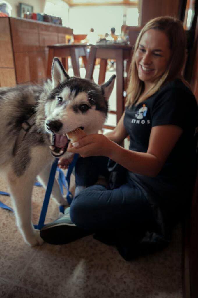 La doctora Gabriela Pacheco Guier, veterinaria y máster en etología clínica (rama de la veterinaria que estudia la conducta animal), lo dice sin rodeos: “El 80% de los casos que atiendo son por agresión de un perro a un humano, y la mayoría de esos ataques ocurren dentro de casas