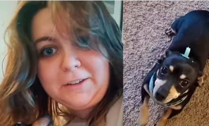 Kale McGee adoptó un perrito que solo entiende español. Tiktok