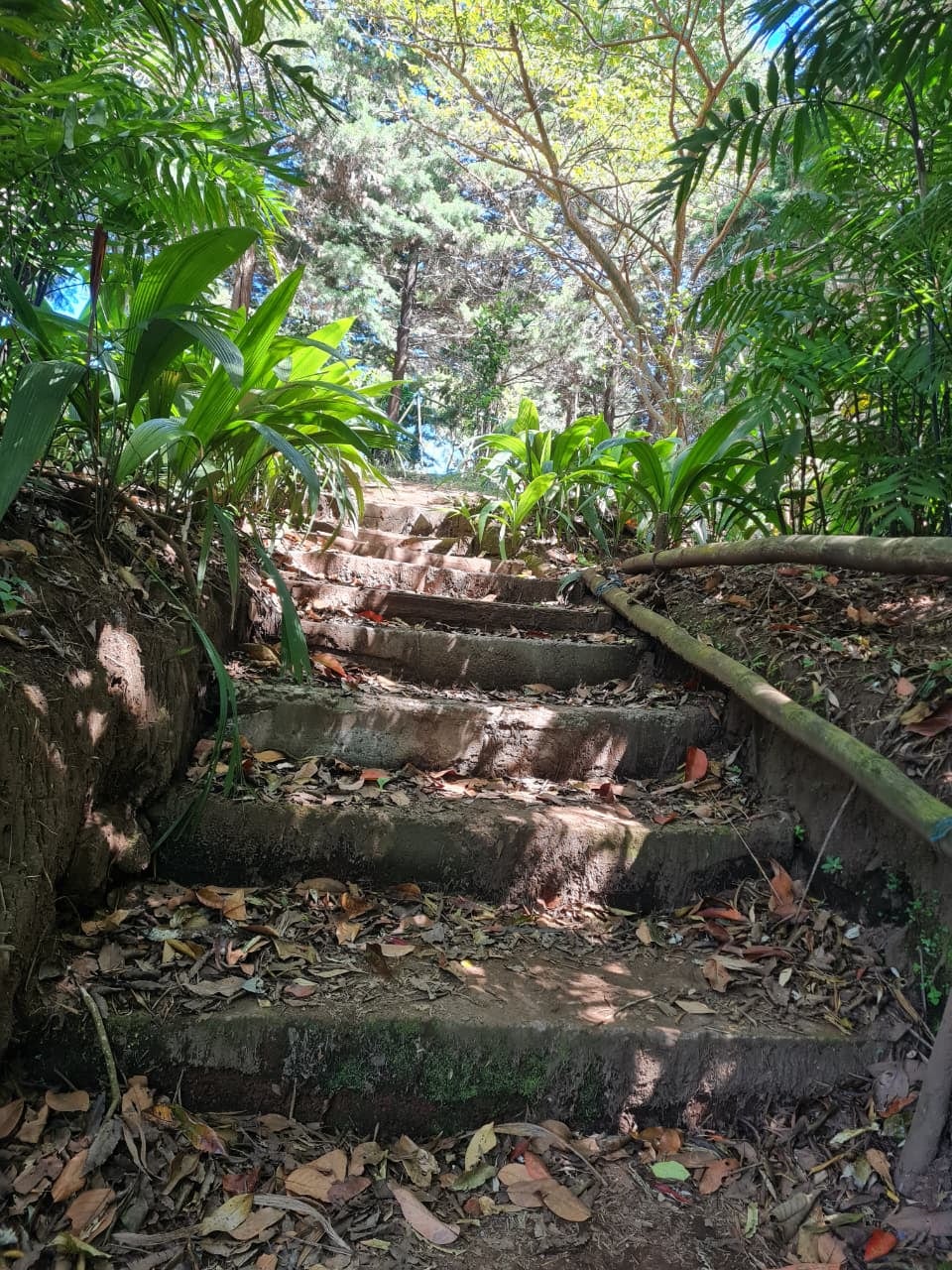 Finca Eco-Turistica Poás