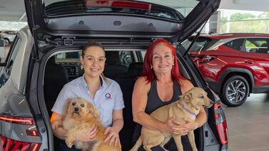 Día de Perro: 3 maneras de celebrarlo