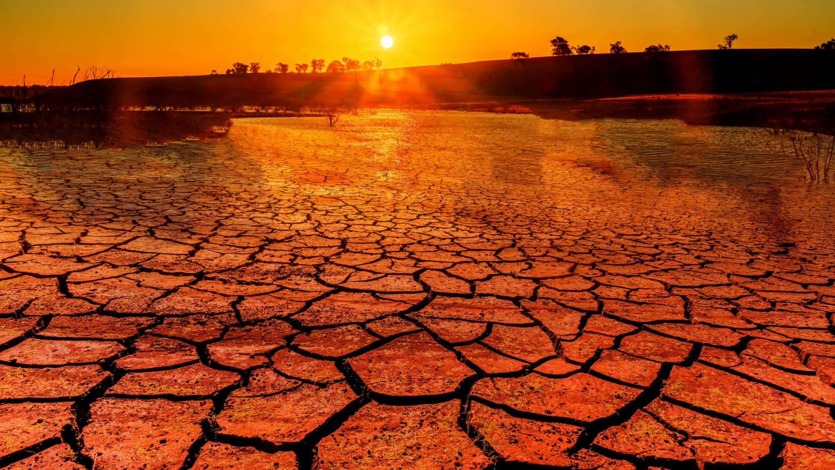 Nuevo informe climático confirma señales de aceleración del calentamiento y alerta sobre menor captura de carbono y más olas de calor marinas.