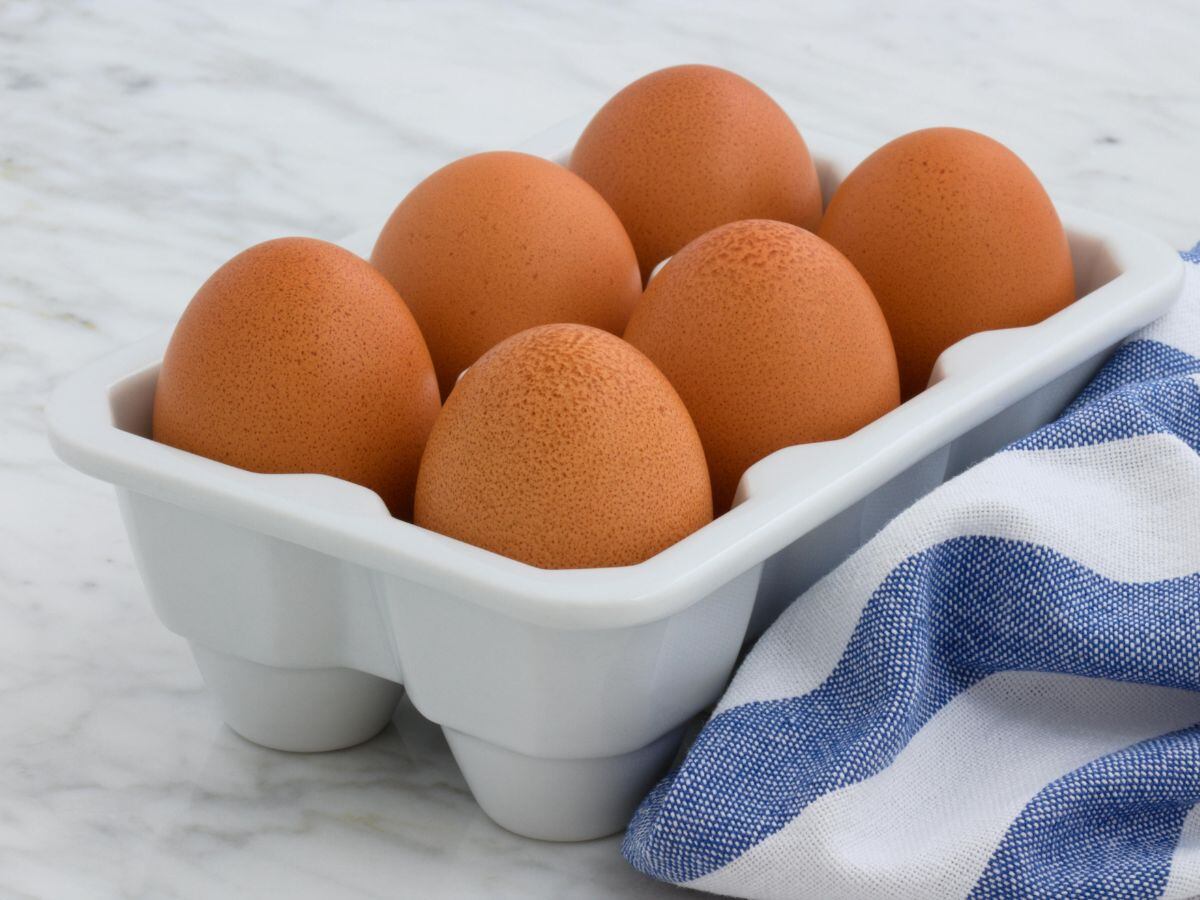 El precio del huevo se disparó en los Estados Unidos y crece el temor de que suceda lo mismo en Costa Rica.