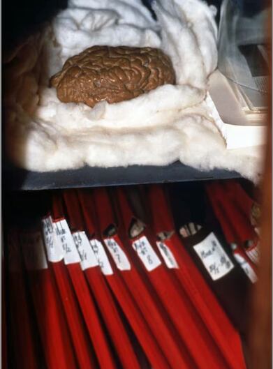 Foto tomada de La Nación de Argentina