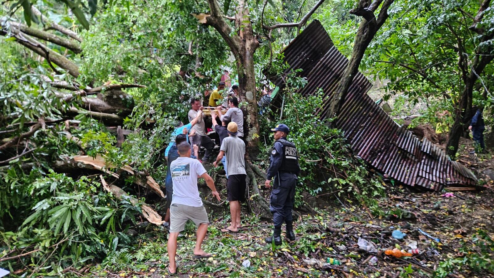 Una pequeñita de un año y cuatro meses, otras dos niñas de cinco años y ocho años; además de una adulta de aproximadamente 55 años sufrieron fuertes golpes al caer un árbol sobre la casa en la que estaban en Invu, Quepos. Foto: Bomberos