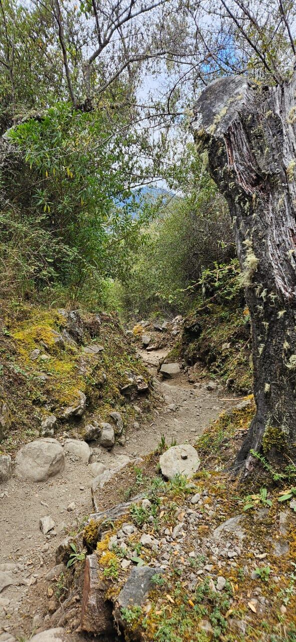 Fotos para crónica de la subida al cerro Chirripó