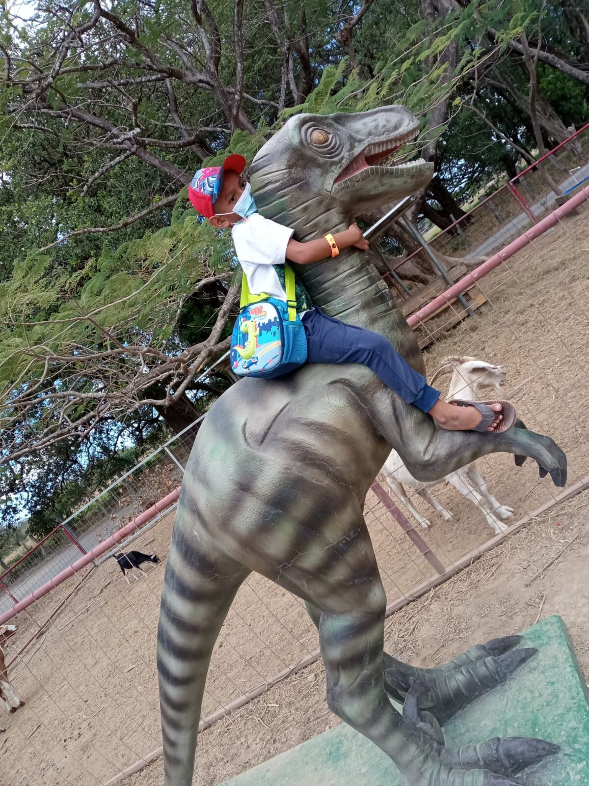 Santiago Barrios Salas, jamás ha dejado de sorprendernos y admirarnos. Es un guerrero de la vida y es bien pipa.