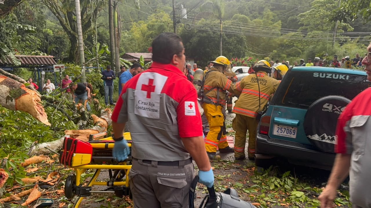 Una mujer fue trasladada en condición crítica luego de que le cayó un árbol encima