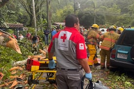 Mujer quedó prensada luego de que árbol cayó sobre carro y fue trasladada crítica al hospital