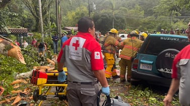 Mujer quedó prensada luego de que árbol cayó sobre carro y fue trasladada crítica al hospital