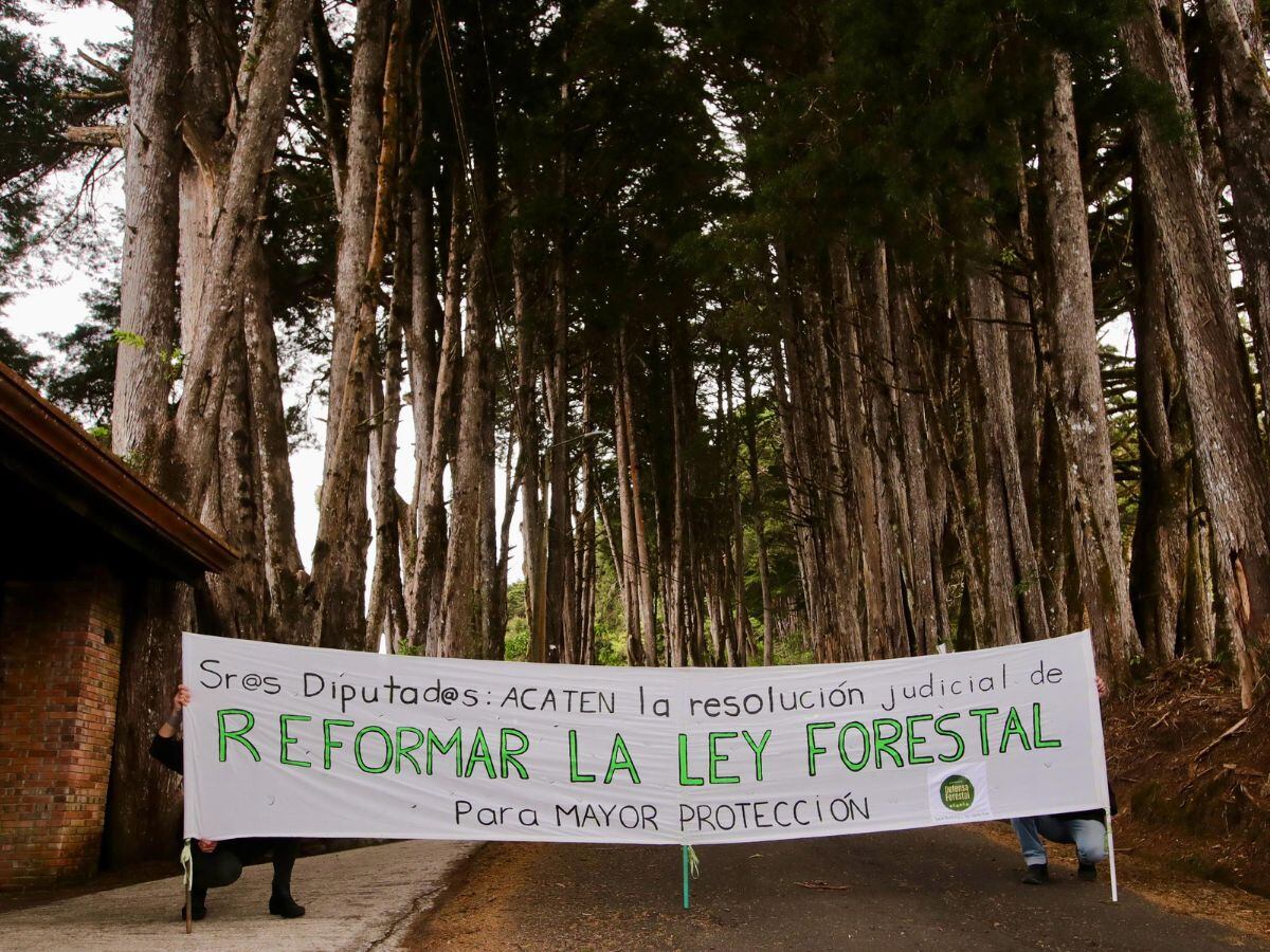 Manifestantes piden mayor protección para el medio ambiente en Costa Rica.