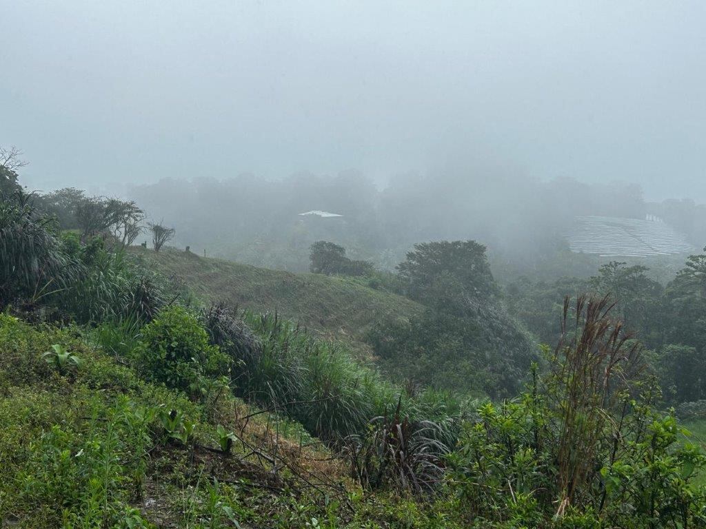 El Banco de Costa Rica tiene varios terrenos y casas disponibles a la venta, con buenos descuentos.