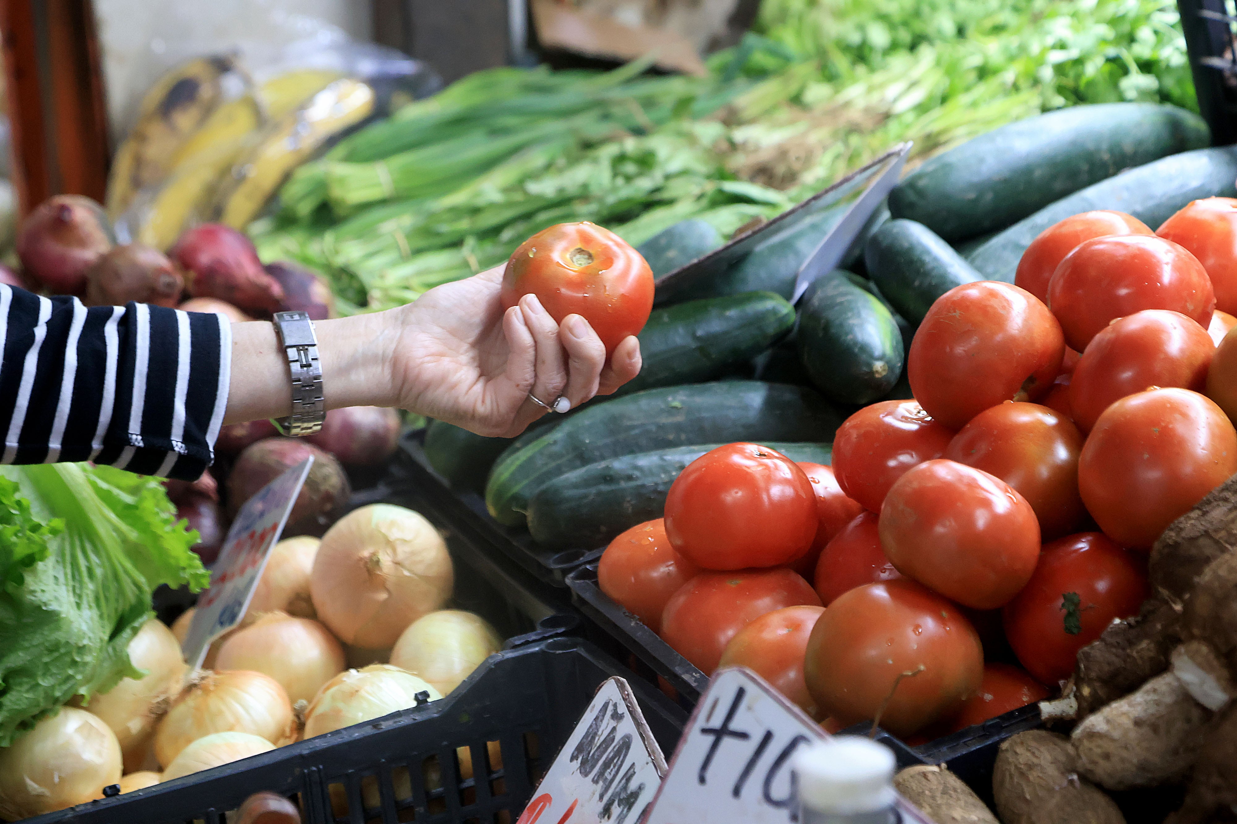 Mano de una persona sosteniendo un tomate en un mercado de Costa Rica, rodeado de verduras frescas como pepinos, cebollas y lechugas.