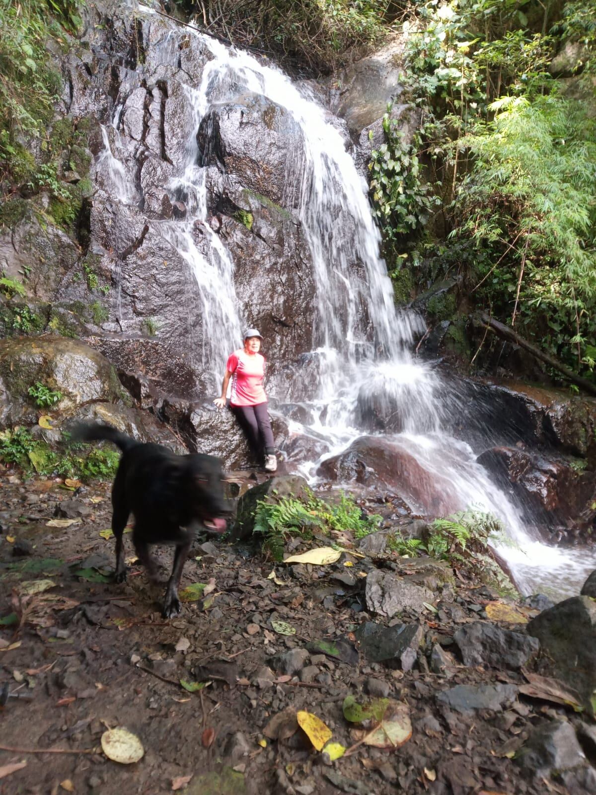 Muchas personas aprovechan para llevar a sus mascotas.