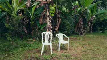 ¿Por qué las canciones son cada vez más tristes? La ciencia lo explica y Bad Bunny lo confirma