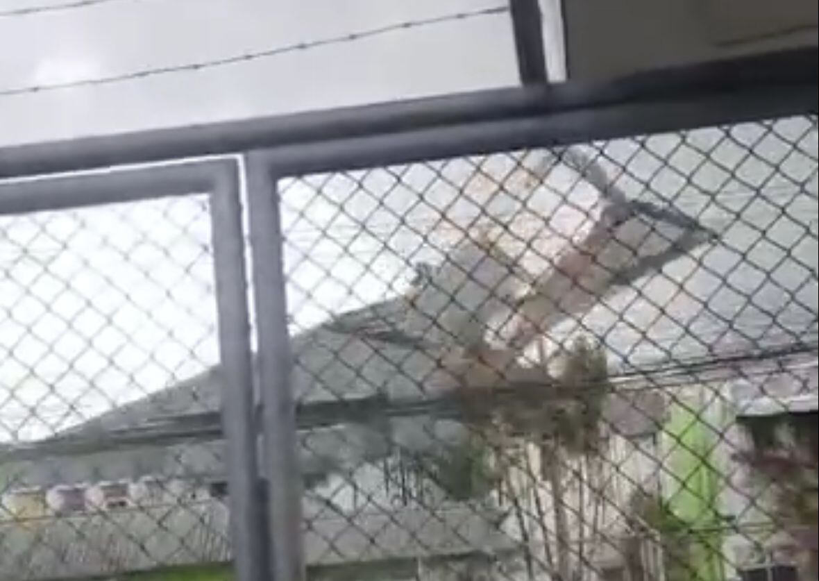 cartago vientos techos