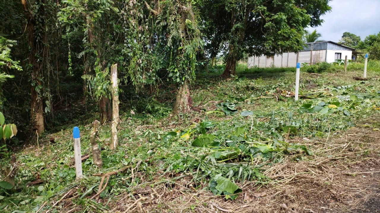 Este lote en Sarapiquí podría ser suyo en un muy buen precio.