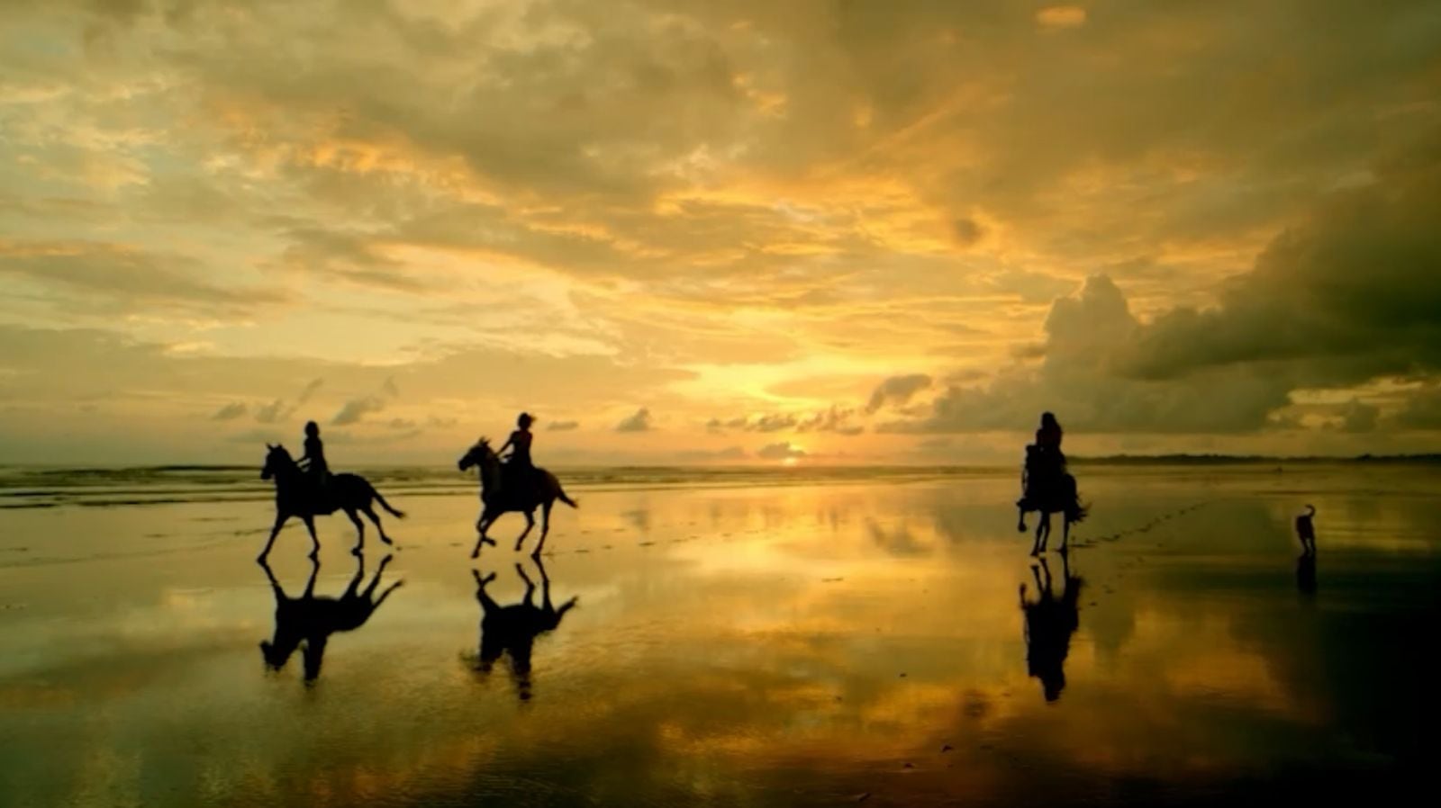 Imágenes llenas de "Pura Vida" embellecen a una de las revistas de viaje más influyentes del mundo. National Geographic Traveller del Reino Unido dedicará la portada y el reportaje principal de su edición impresa y digital de junio a nuestro país. Bajo el título “Costa Rica: de Costa a Costa”, un artículo exclusivo invita a los lectores británicos a sumergirse en la paradisíaca oferta turística del territorio nacional.