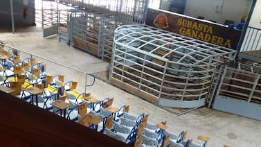 Así se describió ganadero sospechoso de lavar miles de millones de colones antes de ser perseguido por el OIJ