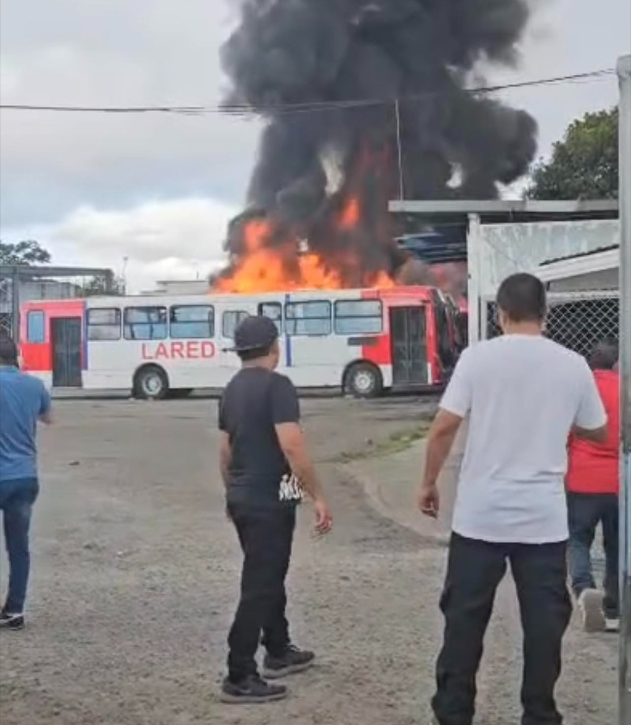 Cuatro buses se están quemando en Desamparados