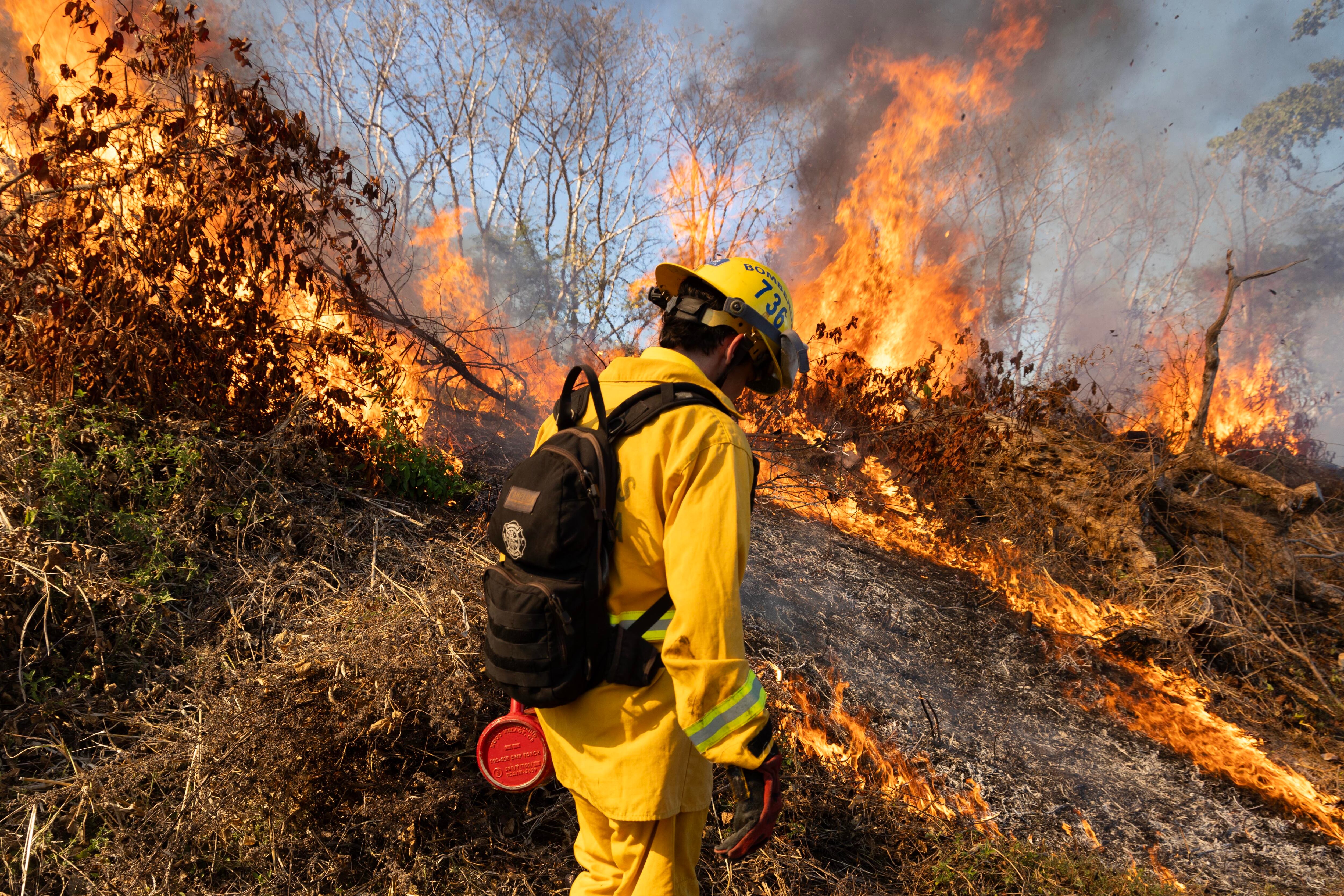 Incendio Forestales Guanacaste
