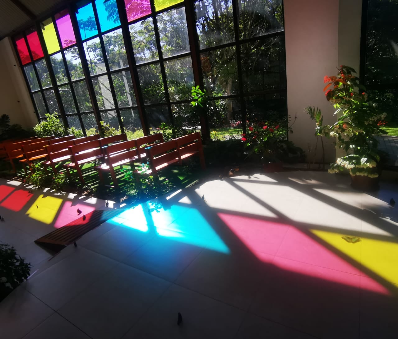 Amplios jardínes, una pequeña granja, senderos, un pueblo mágico de abejas meliponas y la capilla con más de 300 mariposas. Eso disfrutan los visitantes de este lugar en Piedades Sur de San Ramón, Capilla Ambar EFE.