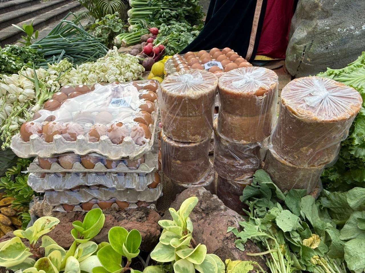 Huevos y demás fueron algunos de los productos recolectados