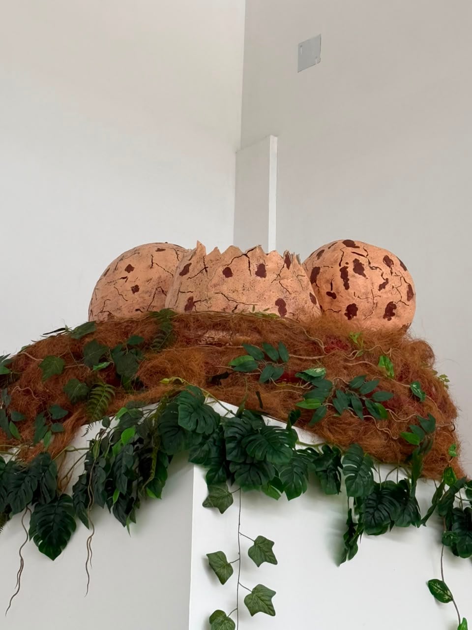 De vender flores en la calle dentro de un traje de T-Rex en 2020 a inaugurar una tienda física, T-Rex Tienda de Dinosaurios, especializada en dinosaurios: la historia de superación de una maestra de preescolar Wendy Arauz Madrigal