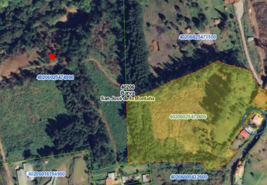 Un amigo de Rodrigo Chaves, investigado por tala ilegal en el Caribe Sur usa un helipuerto sin permisos. Captura de pantalla.