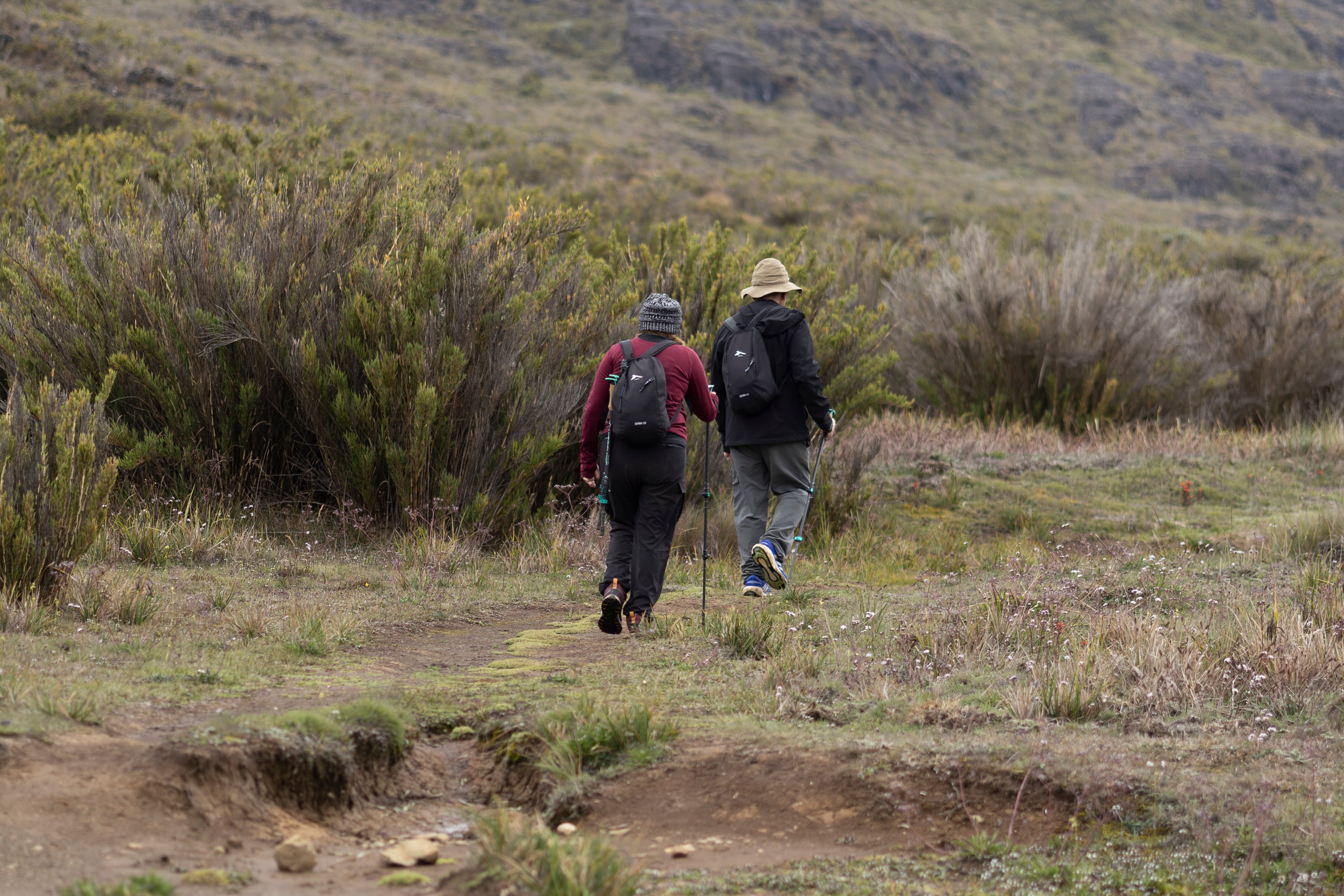 04/09/2024, San José, Cerro Chirripó, gira de La Teja a la cima del Cerro Chirripó, para explicar como es esa caminada hasta la cima y todo el proceso que hay que hacer para entrar al parque y recibir la atención en el albergue.