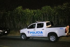 Lo que vecinos encontraron dentro de un cafetal tras escuchar disparos estremeció a Tucurrique