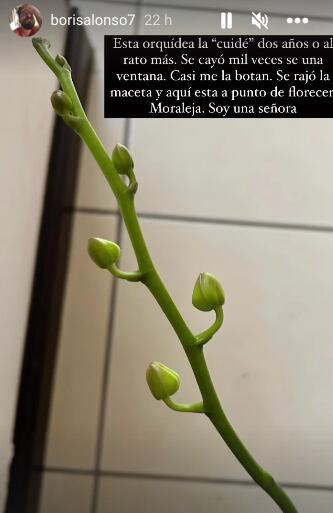 Boris Alonso, actor y locutor: Instagram