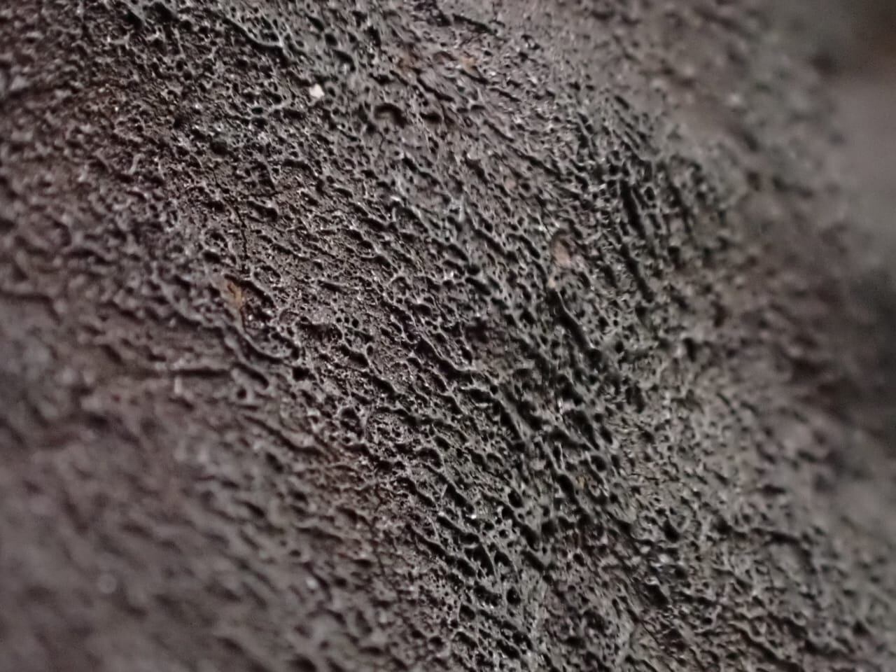 Paulo Ruiz Cubillos es geólogo de la Universidad de Costa Rica (UCR) y también es fotógrafo profesional. Él tuvo la exclusiva oportunidad de realizarse una sesión fotográfica a un fragmento del meteorito Aguas Zarcas.