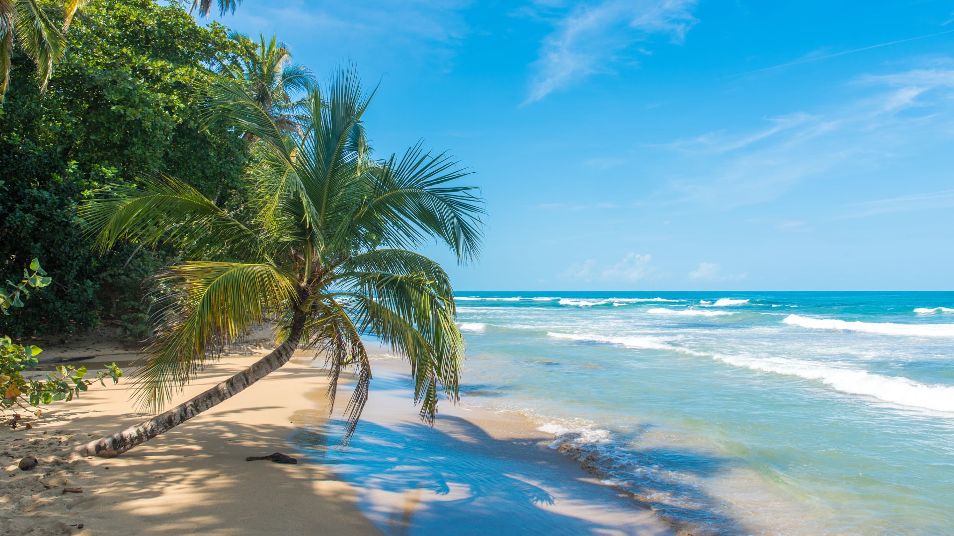 Playa Conchal, Playa Uvita y Playa Cocles fueron incluidas en la lista “Corona Beach 100” que celebra los destinos costeros más impactantes del mundo, gracias a su belleza natural, fauna única y ambiente relajante.