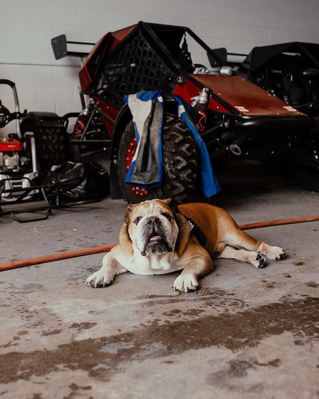 Lewis Hamilton y su perro Roscoe