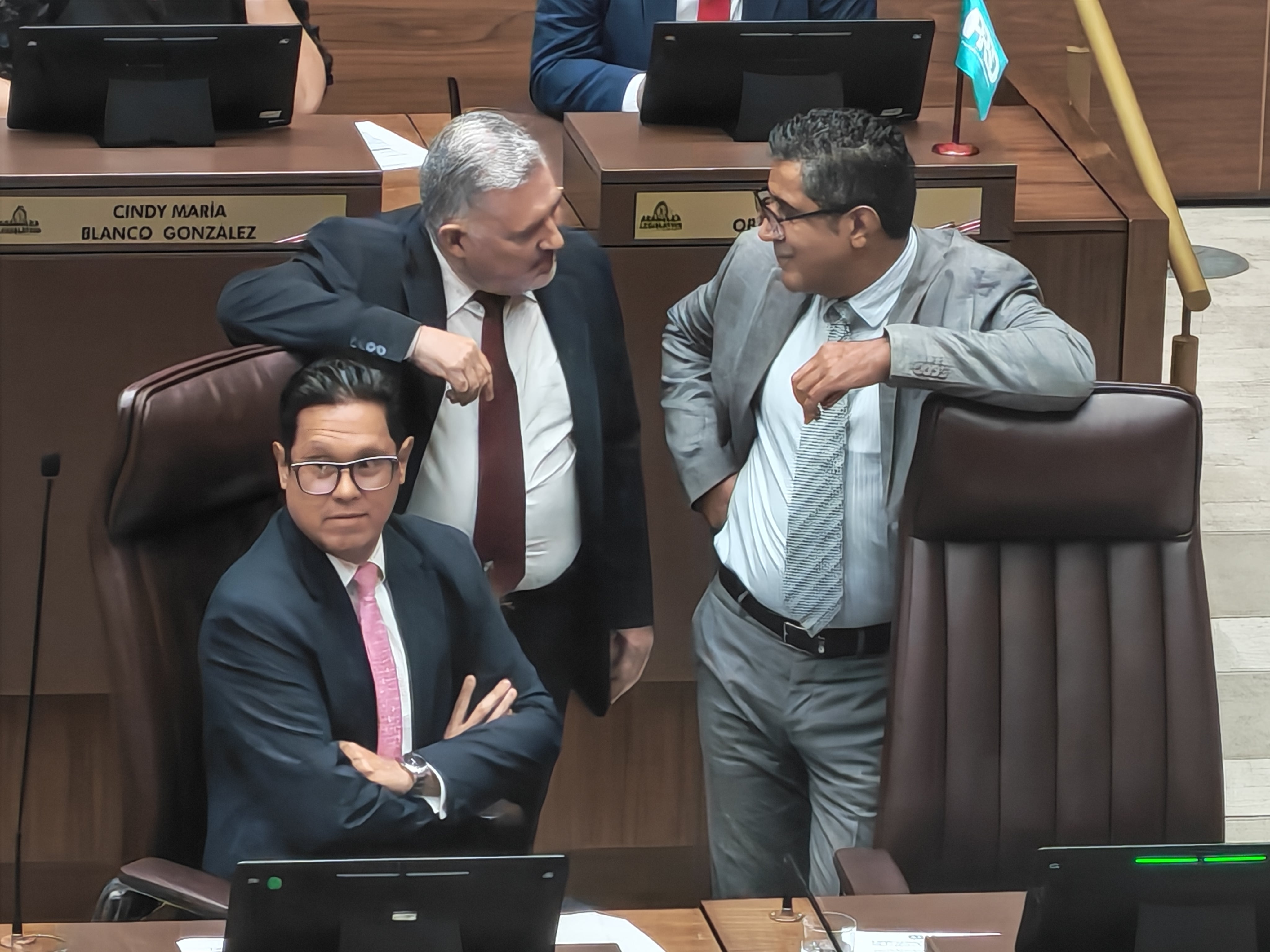 plenario, diputados, Asamblea Legislativa