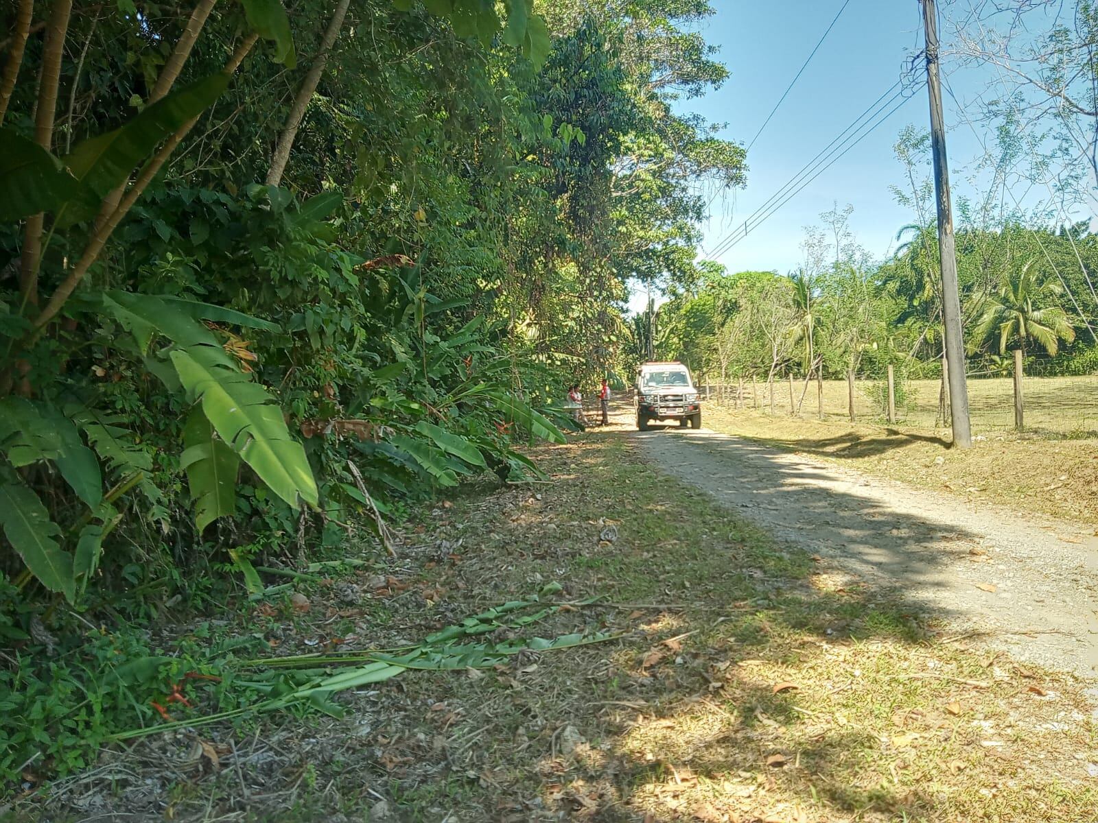 Buscan a adulto mayor desaparecido en playa blanca de Puerto Jiménez