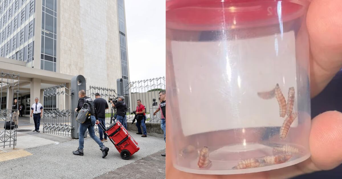 Caso Barrenador, así se llama el expediente por posible sobreprecio en contratos de administración de Ebáis de la CCSS.