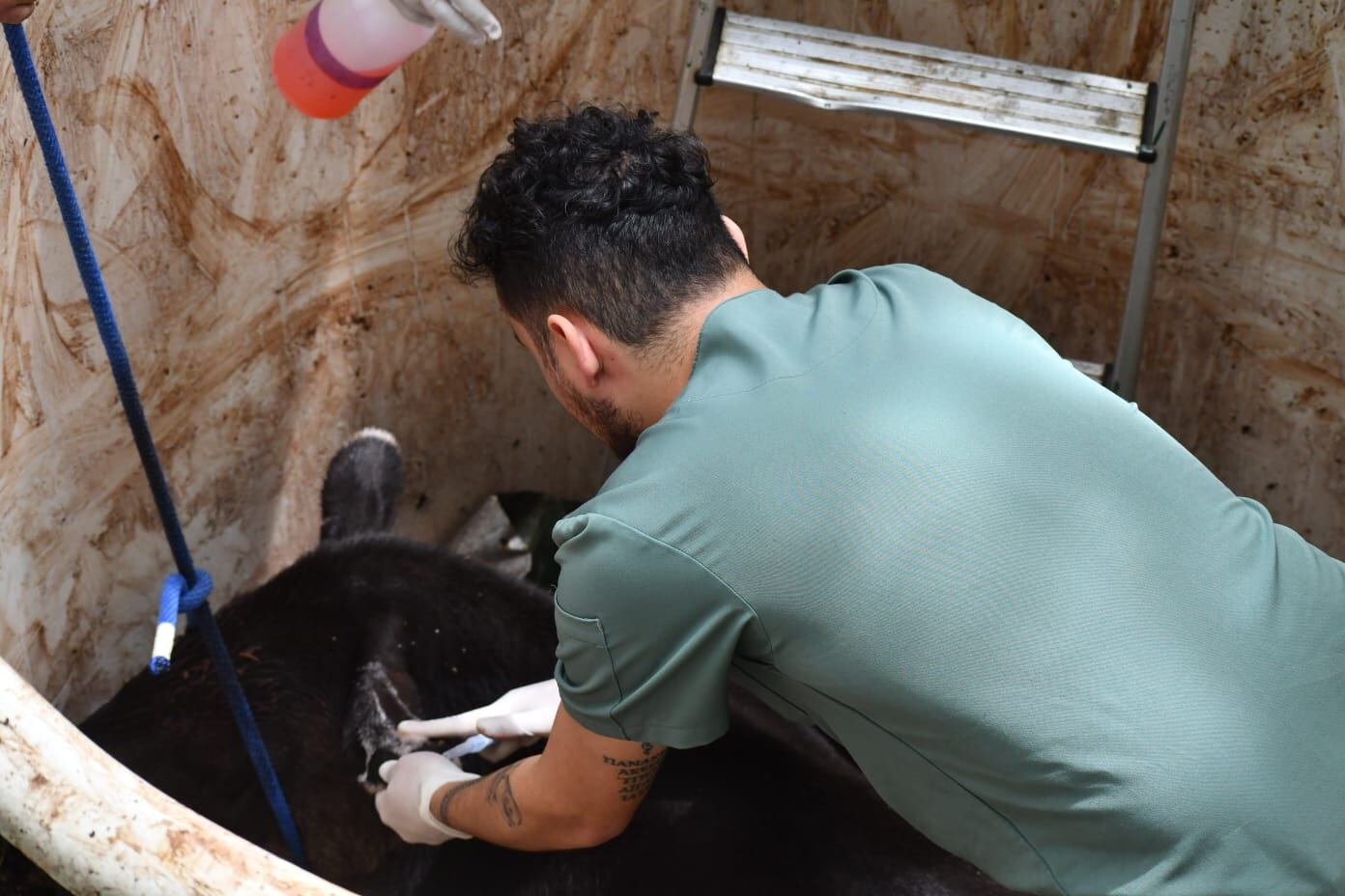 Toucan Rescue Ranch danta