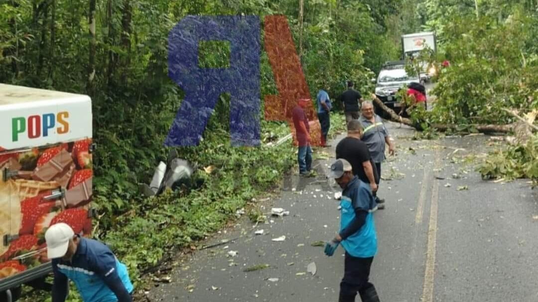 Un trabajador de helados Pops de 30 años falleció en Bijagua de Upala, luego de que un árbol cayera sobre el camión que manejaba el viernes 15 de noviembre del 2024. Foto: Tomada de Rafael Ángel Noticias