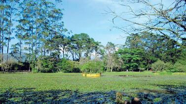 Conozca una hermosa laguna en Cartago donde pagará solo un rojito por entrar