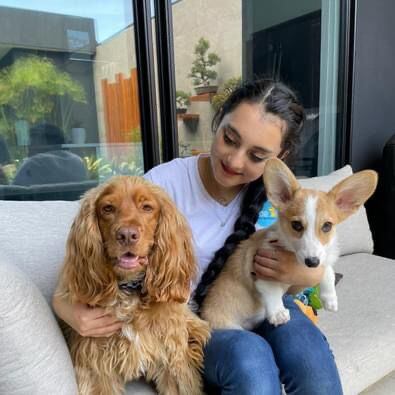 Noé es una empresa de niñeros de mascotas a domicilio