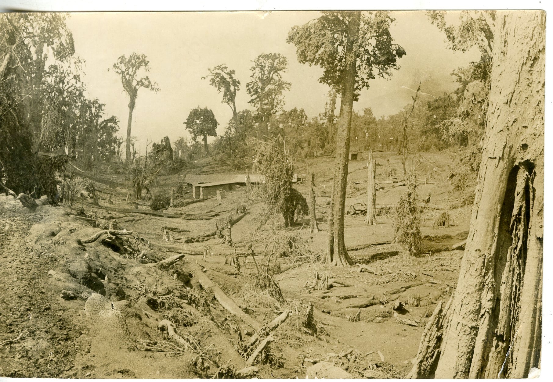 El 09 de agosto de 1962 un fuerte retumbo y una gran columna de vapor marcaron el inicio de lo que sería un nuevo ciclo eruptivo en el cráter principal del volcán Irazú