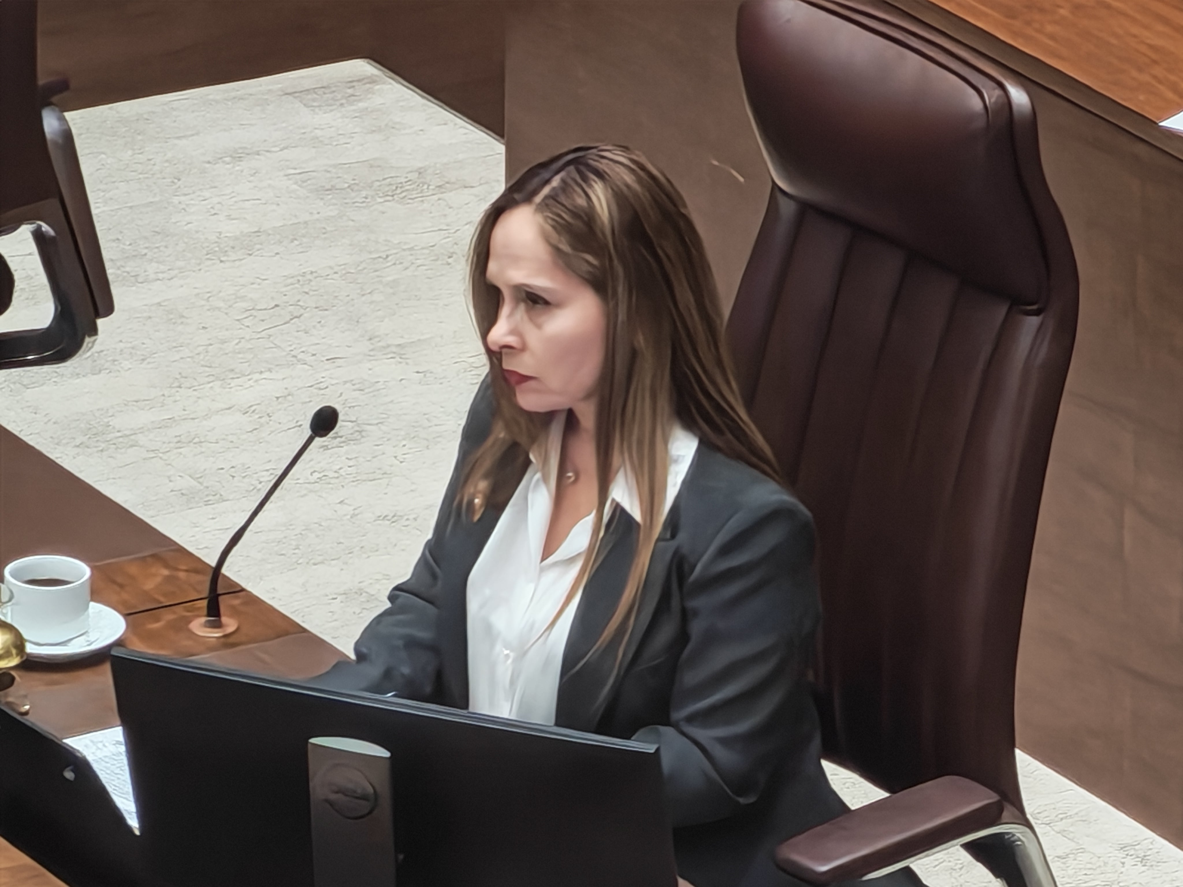diputados plenario asamblea lobby