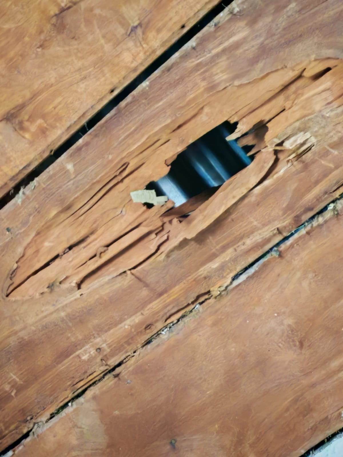 लुईस अलेजांद्रो चावेरी चावेझ, 30 वर्षांचे आणि ओरोसी डी कार्टागोचे रहिवासी, 22 वर्षे ओरोसी येथील वसाहती मंदिरात स्वयंसेवक मार्गदर्शक म्हणून काम करत होते आणि मंदिर नूतनीकरणासाठी बंद असल्यामुळे त्यांना आता आर्थिक गरज आहे.