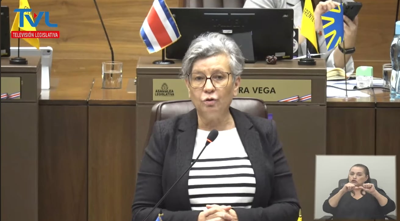 María Eugenia Román defendió el proyecto de ley y aseguró que sería de provecho para la Cruz Roja. Captura de pantalla.